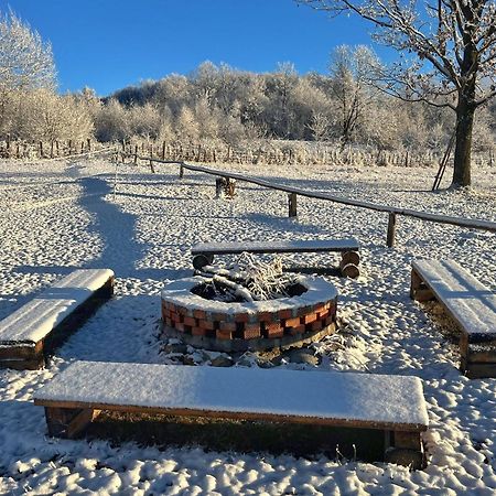 Casuta Din Stejari-Transalpina Villa Novaci-Străini Dış mekan fotoğraf