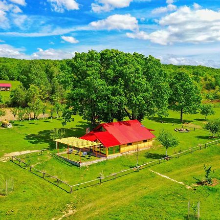 Casuta Din Stejari-Transalpina Villa Novaci-Străini Dış mekan fotoğraf