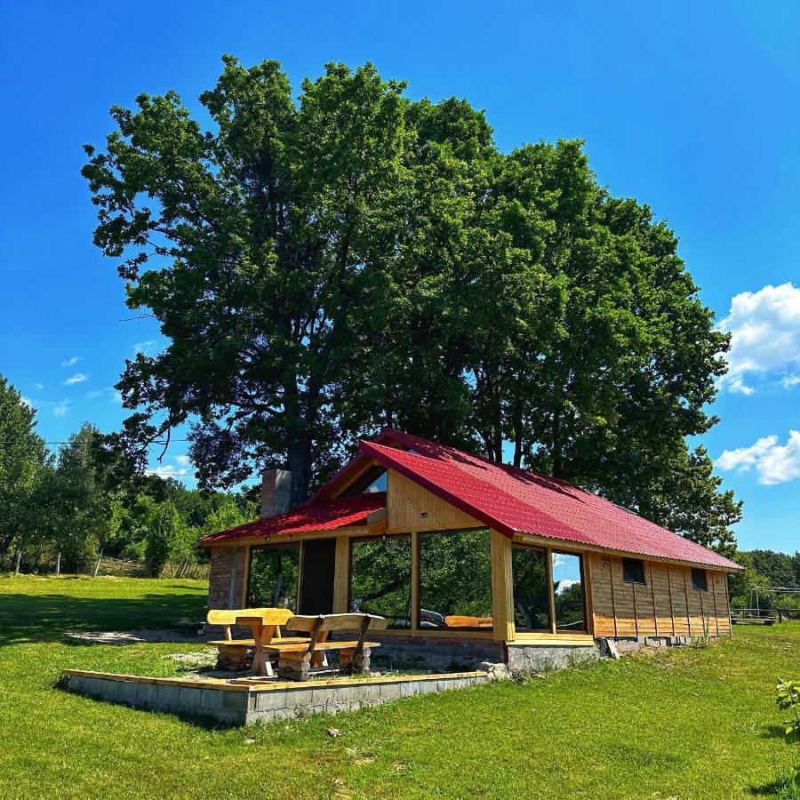 Casuta Din Stejari-Transalpina Villa Novaci-Străini Dış mekan fotoğraf