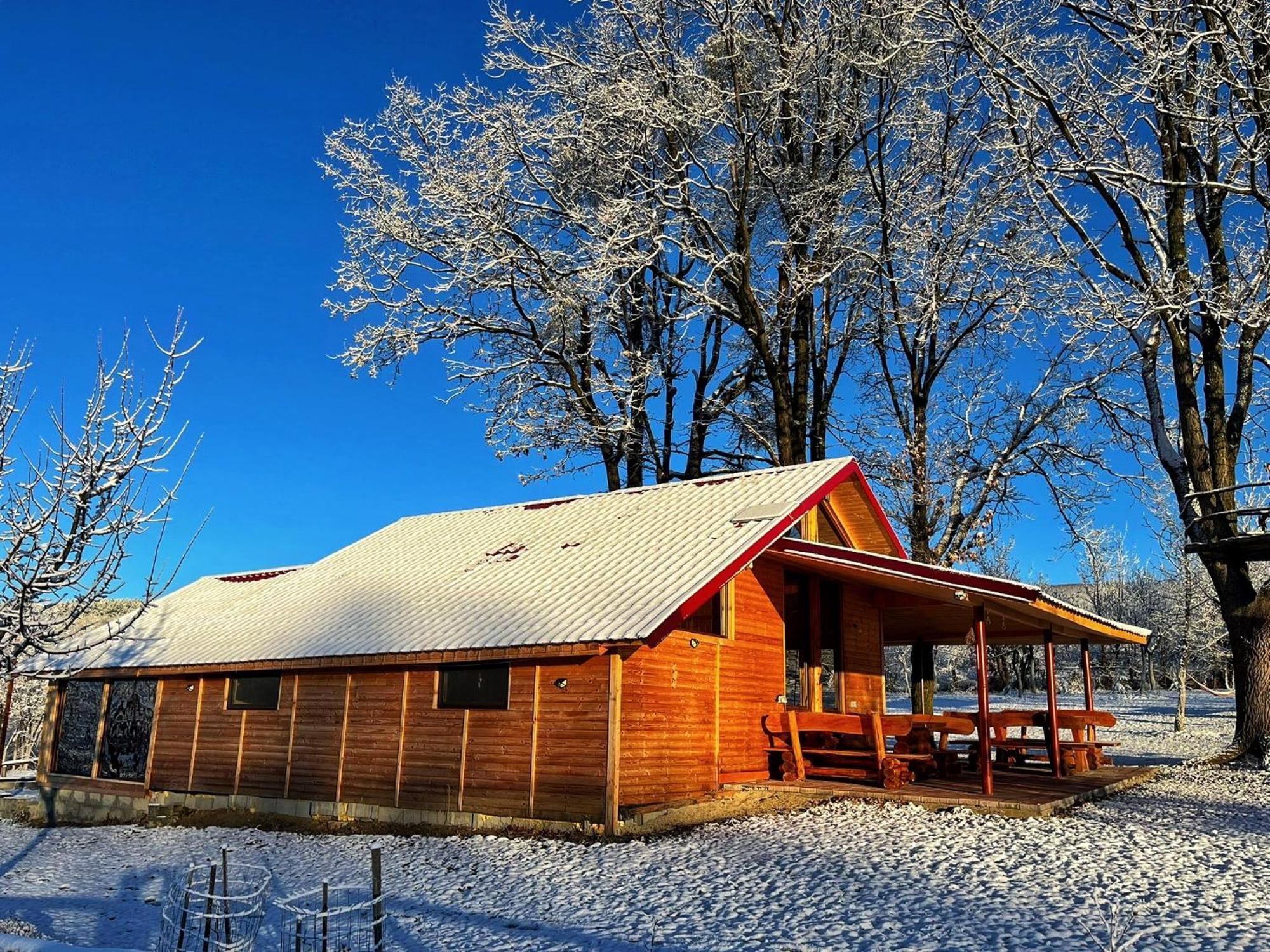 Casuta Din Stejari-Transalpina Villa Novaci-Străini Dış mekan fotoğraf