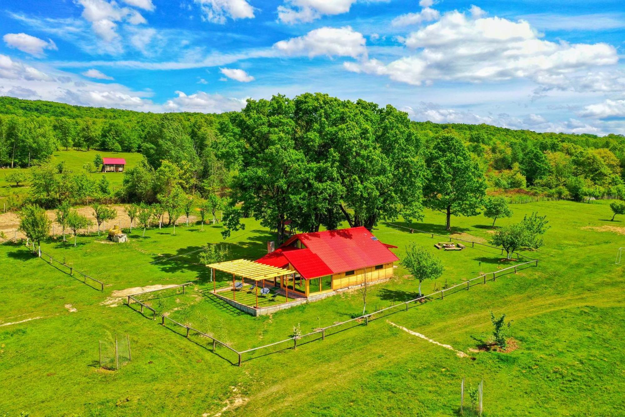 Casuta Din Stejari-Transalpina Villa Novaci-Străini Dış mekan fotoğraf